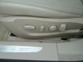 Light Platinum - DTS Sedan Photo No. 15