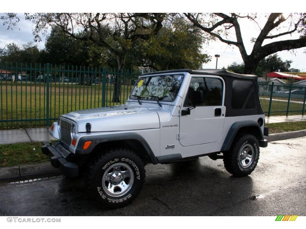 2002 Wrangler X 4x4 - Bright Silver Metallic / Camel Beige photo #2