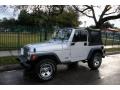 2002 Bright Silver Metallic Jeep Wrangler X 4x4  photo #2