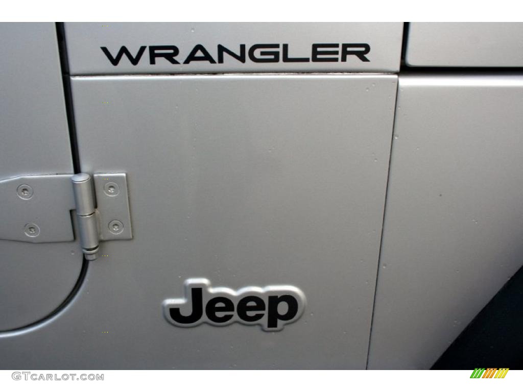 2002 Wrangler X 4x4 - Bright Silver Metallic / Camel Beige photo #66