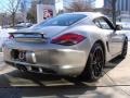 Platinum Silver Metallic - Cayman S Photo No. 4