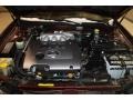 Merlot Red Metallic - Maxima SE Photo No. 48