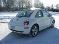 2008 Campanella White Volkswagen New Beetle Triple White Coupe  photo #6