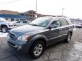 2005 Alpine Gray Kia Sorento EX 4WD  photo #5