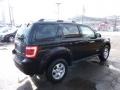 Black - Escape Limited 4WD Photo No. 4