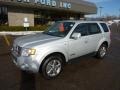 Silver Metallic - Escape Limited 4WD Photo No. 8
