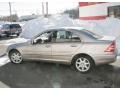 Desert Silver Metallic - C 240 4Matic Sedan Photo No. 9