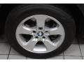 Titanium Silver Metallic - X3 3.0si Photo No. 23