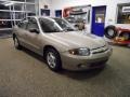 Sandrift Metallic - Cavalier Sedan Photo No. 7