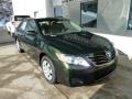 Spruce Green Mica - Camry LE Photo No. 6