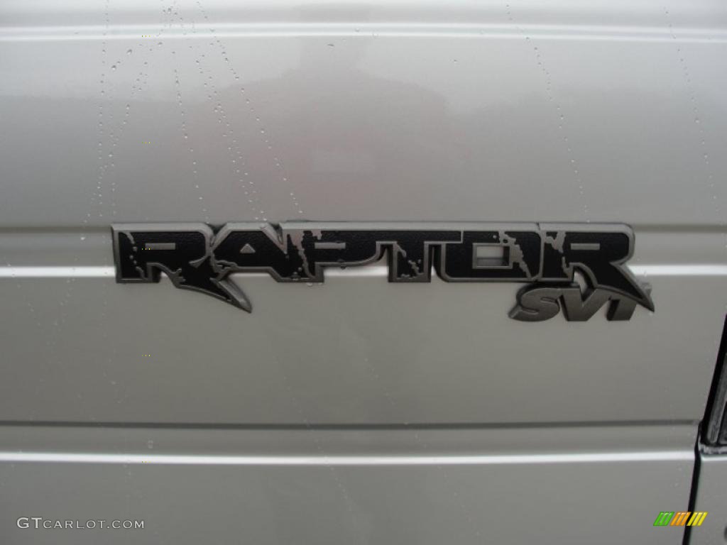 2011 F150 SVT Raptor SuperCrew 4x4 - Ingot Silver Metallic / Raptor Black photo #21