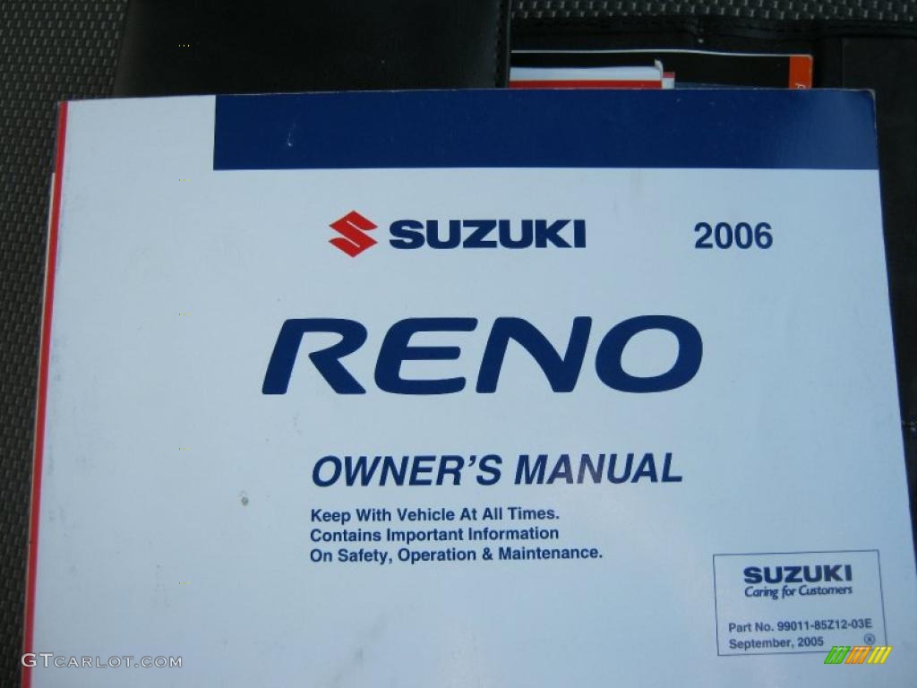 2006 Reno  - Absolute White / Gray photo #17