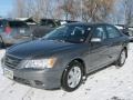 Willow Gray - Sonata GLS Photo No. 1