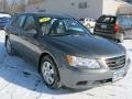 Willow Gray - Sonata GLS Photo No. 15
