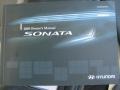 Willow Gray - Sonata GLS Photo No. 17