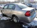 Silverstone Metallic - Malibu LS Sedan Photo No. 3