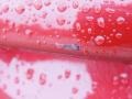 Barcelona Red Metallic - Camry LE Photo No. 27