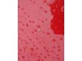 Barcelona Red Metallic - Camry LE Photo No. 29