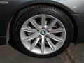 2008 Titanium Grey Metallic BMW 7 Series 750Li Sedan  photo #2