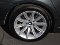 2008 Titanium Grey Metallic BMW 7 Series 750Li Sedan  photo #7