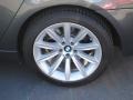 2008 Titanium Grey Metallic BMW 7 Series 750Li Sedan  photo #10