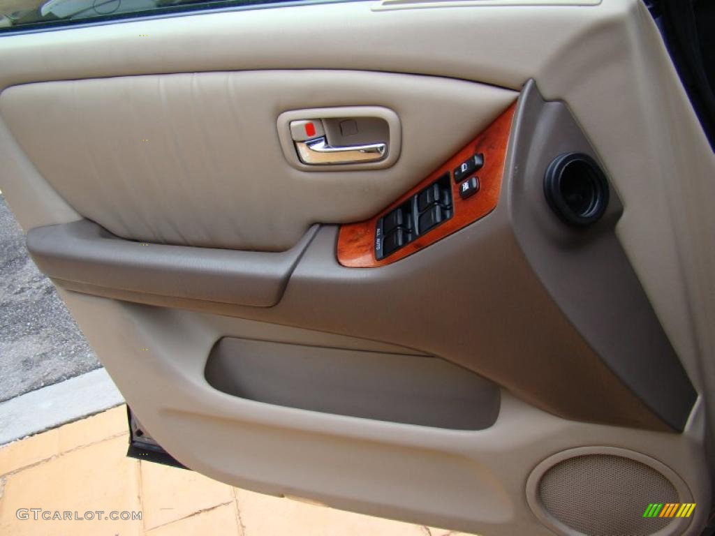 2002 Lexus RX 300 Ivory Door Panel Photo #43322667