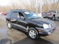 2004 Black Obsidian Hyundai Santa Fe   photo #6