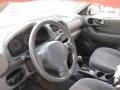 Gray Interior Photo for 2004 Hyundai Santa Fe #43322979