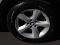 Titanium Silver Metallic - X5 3.0si Photo No. 10