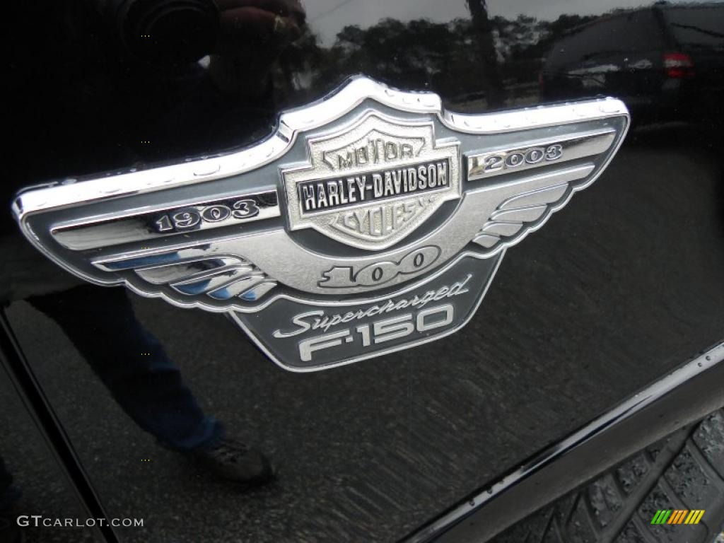 2003 F150 Harley-Davidson SuperCrew - Black / Black/Silver photo #10