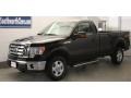 Black - F150 XLT Regular Cab 4x4 Photo No. 3