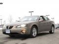 2006 Bronzestone Metallic Pontiac Grand Prix GT Sedan  photo #14