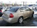 2006 Sandstone Metallic Chevrolet Malibu LT V6 Sedan  photo #5