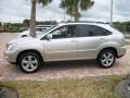 Millennium Silver Metallic - RX 350 Photo No. 10