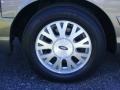 2004 Arizona Beige Metallic Ford Crown Victoria LX  photo #11