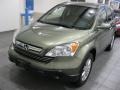 2008 Green Tea Metallic Honda CR-V EX-L 4WD  photo #2