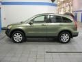 2008 Green Tea Metallic Honda CR-V EX-L 4WD  photo #6