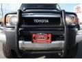 Titanium Metallic - FJ Cruiser 4WD Photo No. 31