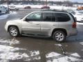 Pewter Metallic - Envoy SLT 4x4 Photo No. 5