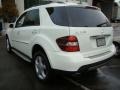 Arctic White - ML 350 4Matic Photo No. 5