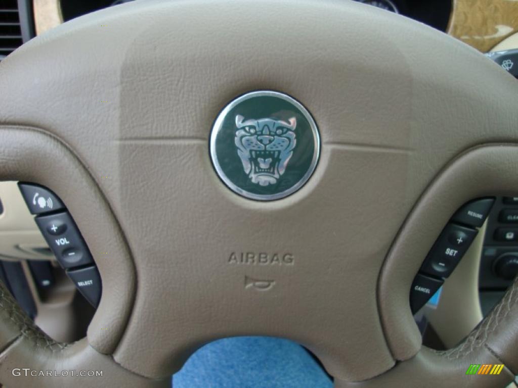2004 Jaguar X-Type 2.5 Barley Steering Wheel Photo #43368468