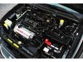 Super Black - Maxima GLE Photo No. 25