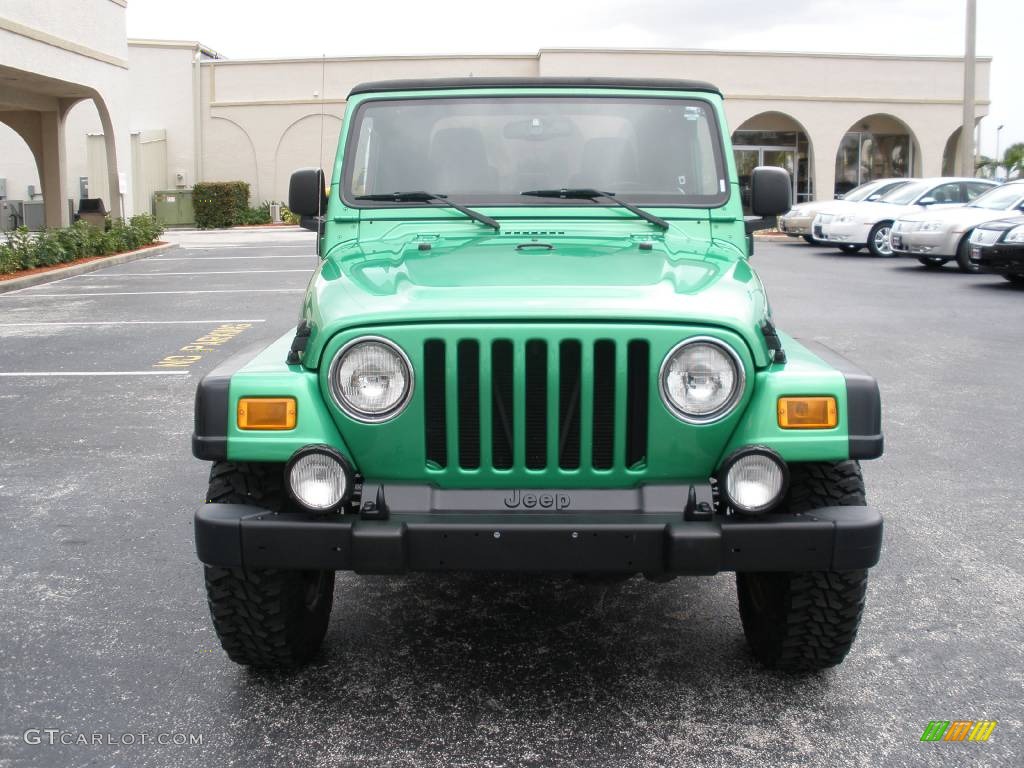 2004 Wrangler Rubicon 4x4 - Electric Lime Green Pearl / Dark Slate Gray photo #3