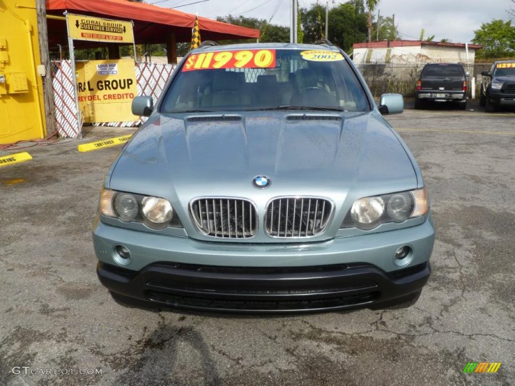 Gray Green Metallic 2002 BMW X5 4.4i Exterior Photo #43393160