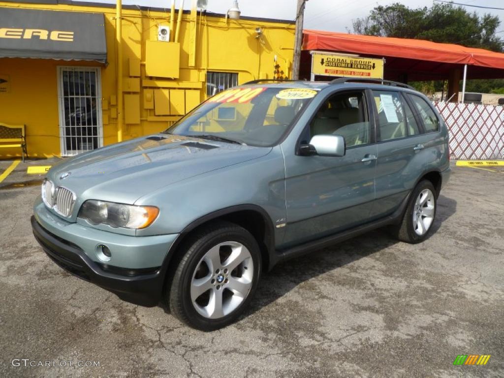 Gray Green Metallic 2002 BMW X5 4.4i Exterior Photo #43393191