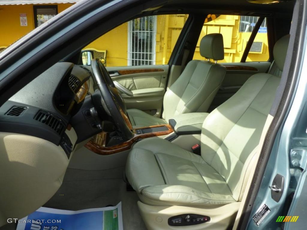 Beige Interior 2002 BMW X5 4.4i Photo #43393292