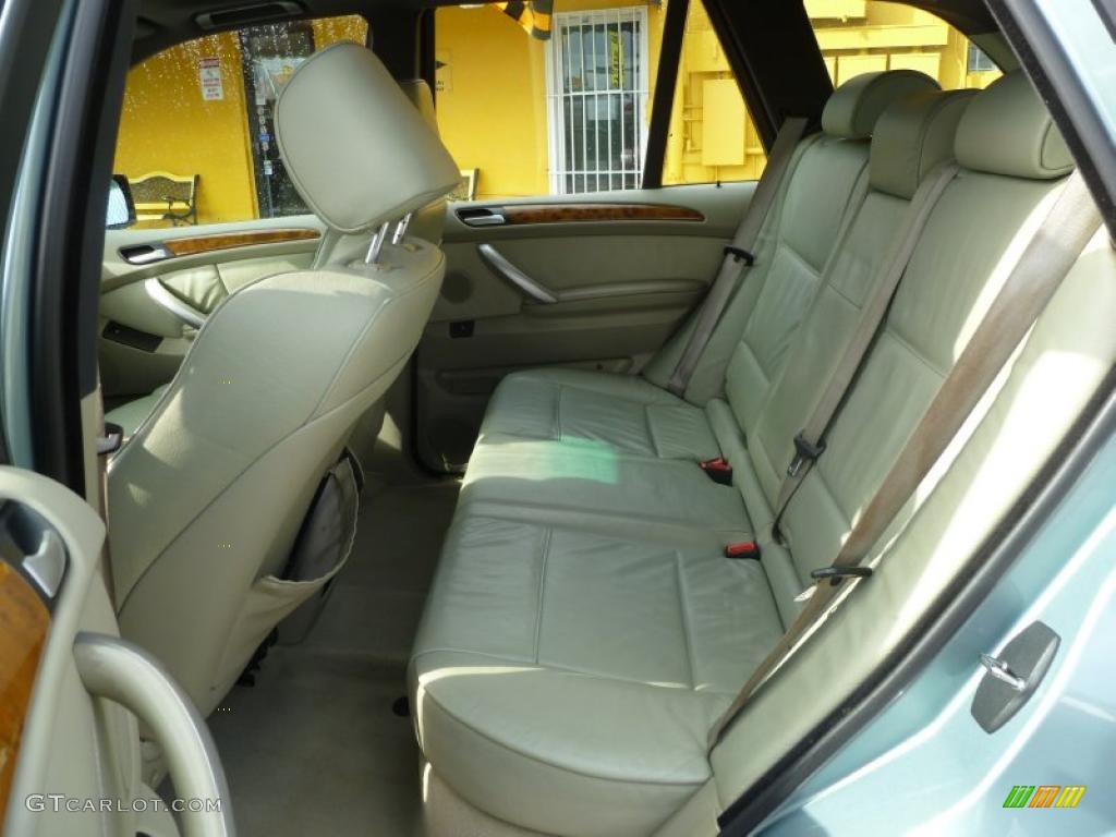 Beige Interior 2002 BMW X5 4.4i Photo #43393312