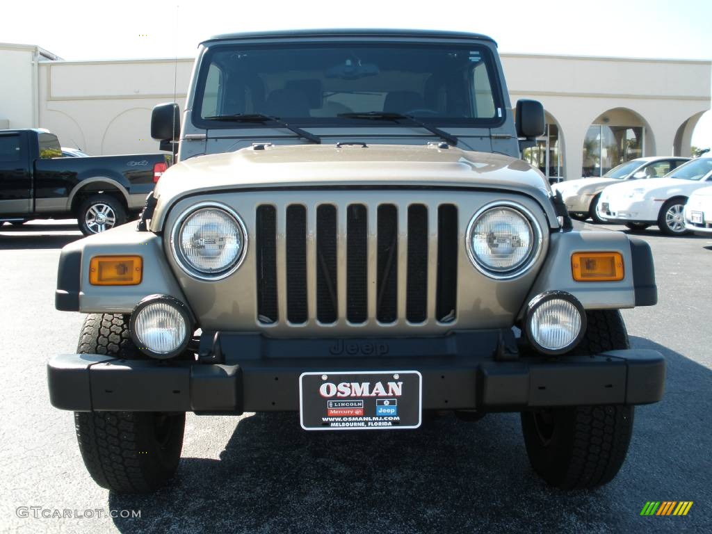 2004 Wrangler Unlimited 4x4 - Light Khaki Metallic / Dark Slate Gray photo #3