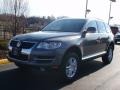 Alaska Grey Metallic - Touareg 2 VR6 Photo No. 1