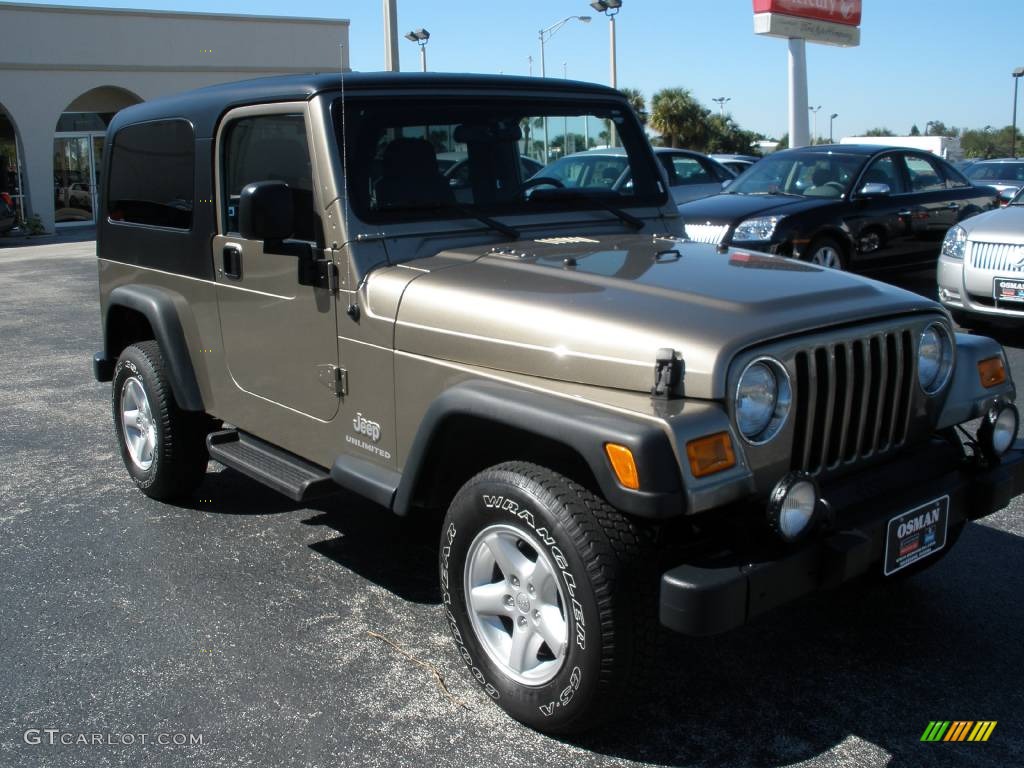 2004 Wrangler Unlimited 4x4 - Light Khaki Metallic / Dark Slate Gray photo #4